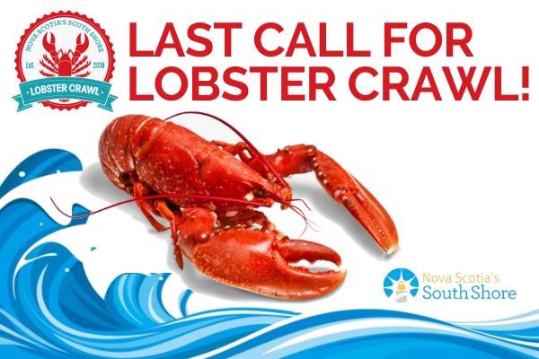 ***Last Call for Lobster Crawl! Leap into this final Lobster-Leap-Weekend!!! *** Check our events &amp; listings 🦞LINKS IN BIO🦞 and don’t miss-out on our first official Nova Scotia Lobster Day shell-abrations!!