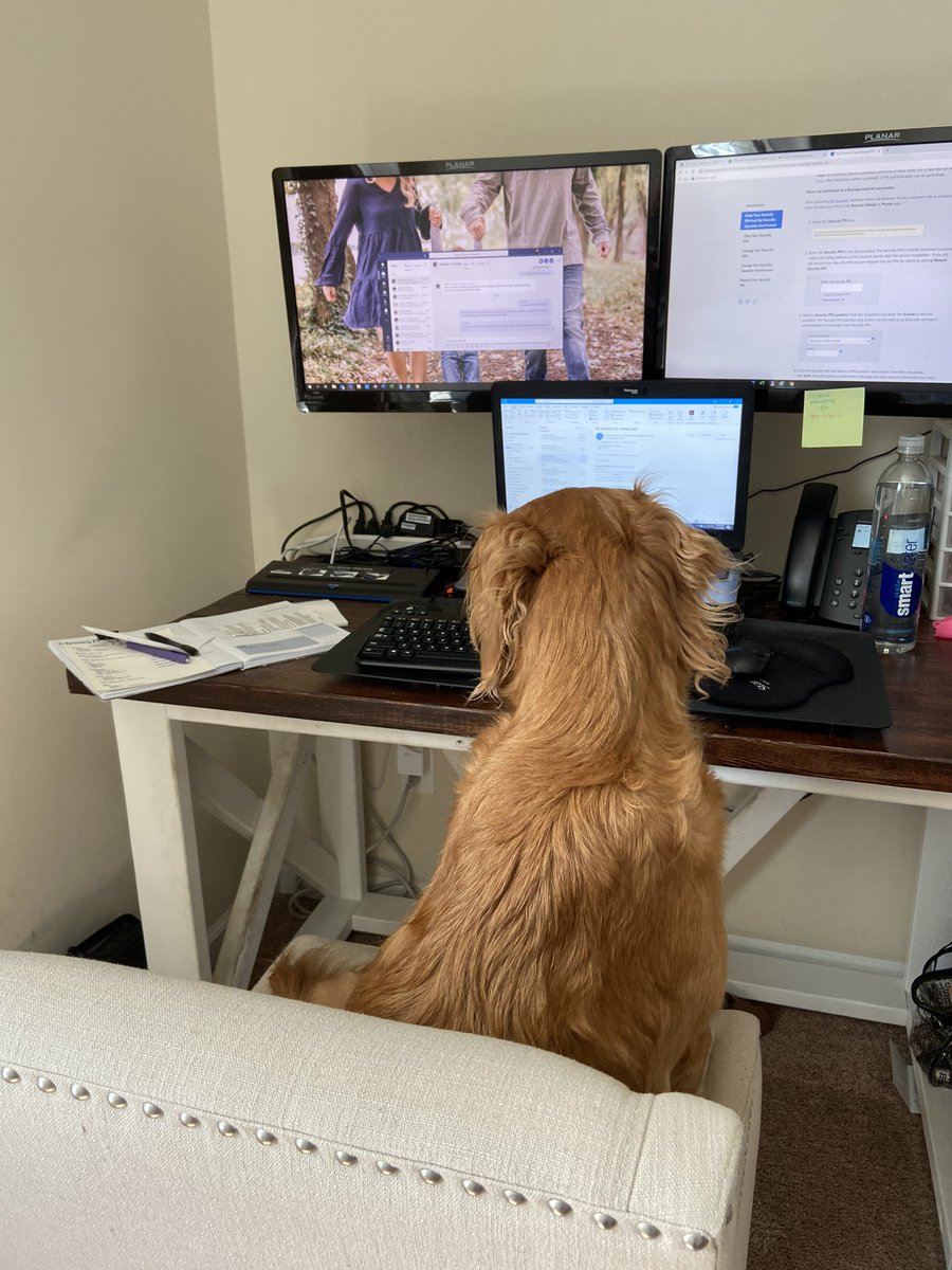 KayleighEngle's tweet photo. @StambaughNess ‘s newest employee! https://t.co/POkg2XXRJ4