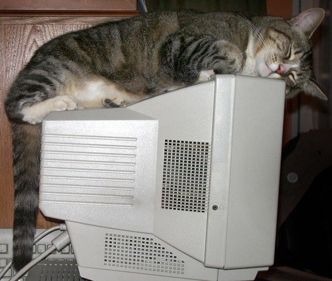 monitorcats's tweet image. 17