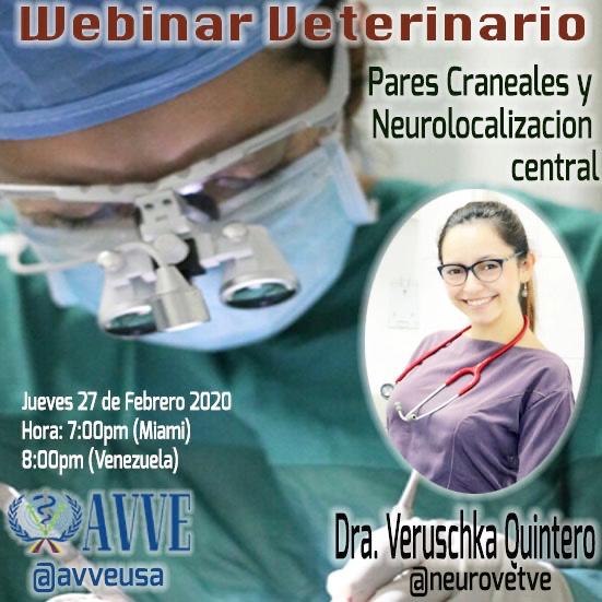 Servegan's tweet photo. Invitados hoy al webinar organizado por @avveusa Tema: Pares craneales y Neurolocalizacion central, Dra. Veruschka Quintero
Hora 8:00 PM (Vzla) Miami 7:00 PM
con la Aplicación: Zoom
meeting ID: 6388269985 
contraseña: 2019 
#Veterinaria #webinar link 
https://t.co/cb253eBmp4 https://t.co/fcsvmeiAUy