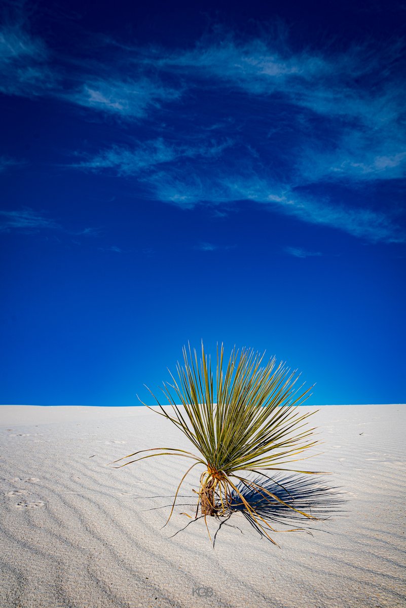 photoskgb's tweet photo. There is just something magical about #WhiteSands #NewMexicoTrue #GetOutdoors #FindYourPark #NationalParks #WeAreParks #Travel #Inspiration #OurWorldIsBeautiful #Wanderlust #Hiking #YourTake #ThePhotoHour #StormHour #Photography #Nikon #KGBPhotography https://t.co/RYjeW1wOhT