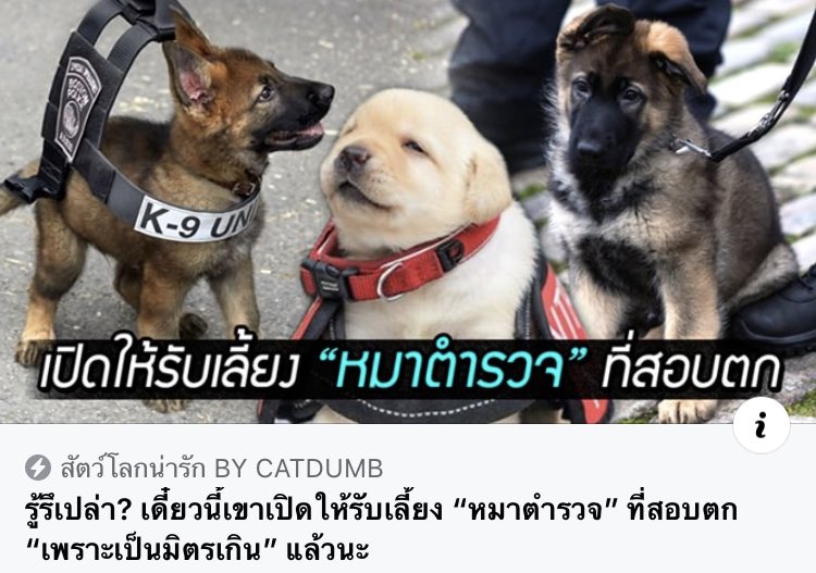 มาเลยไอ้พวกต้าว