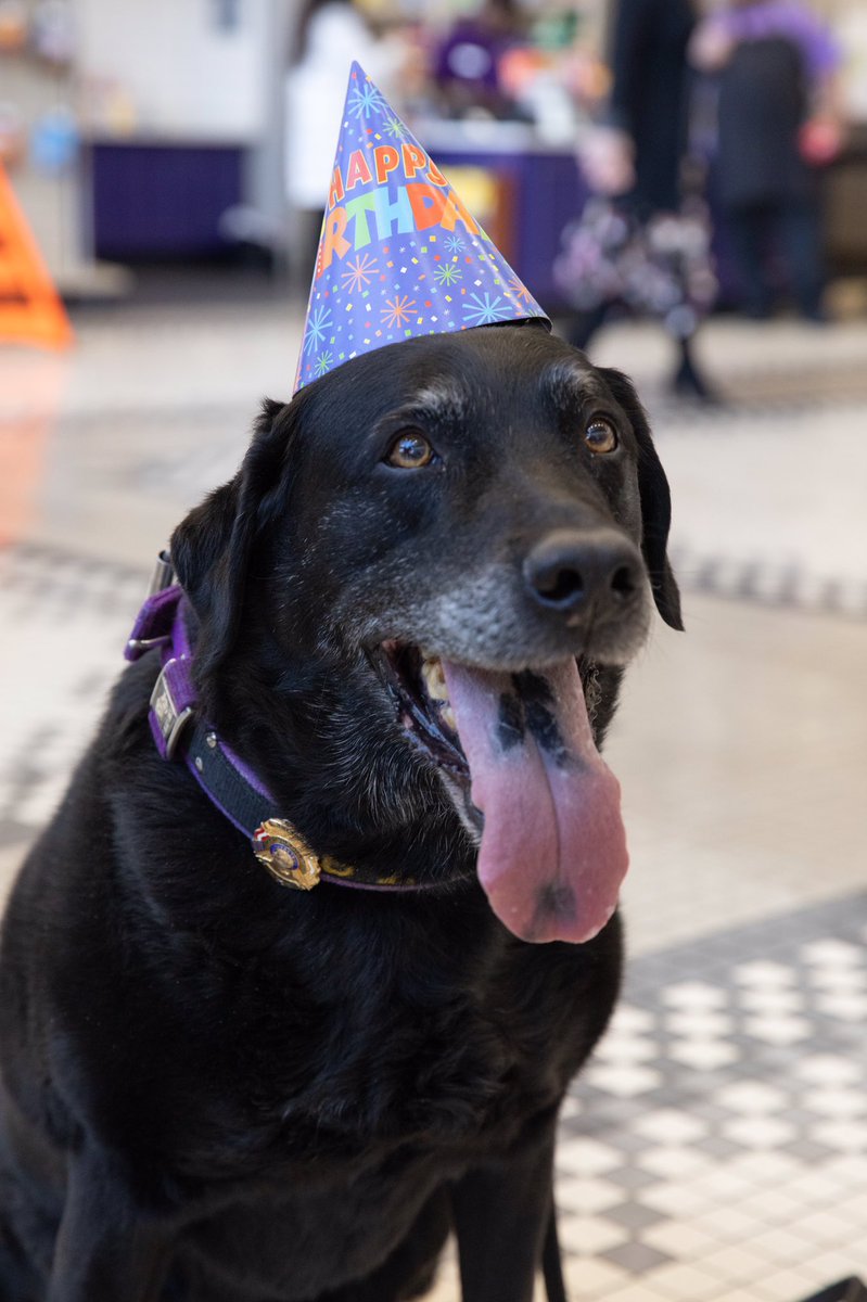 Happy Birthday to our campus K9, Toby! 🐶