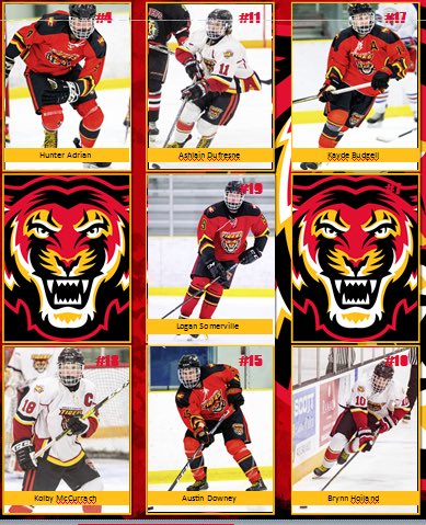 Looking for something to do tomorrow night!? Come on down the NexSource Centre in Sylvan as it’s Grad Night for the Tigers! Game time is @ 7:45pm against the Red Deer Elks! Come on out and support the Tigers as it’s their last Regular Season game in Sylvan!