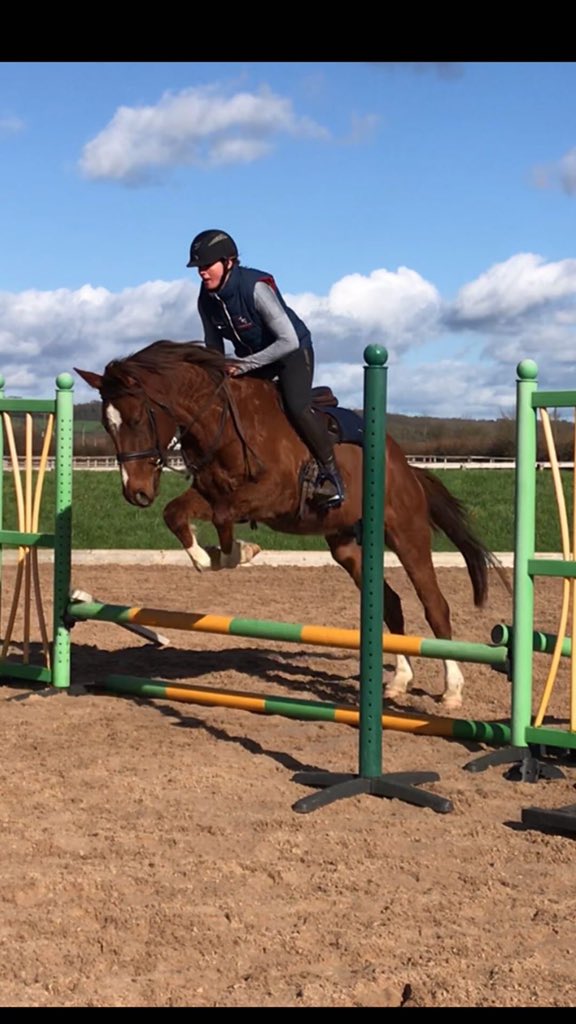 ParkfieldBreed's tweet image. A good day at school for the PFB kids today! Going to suggest they take teacher @FHEventing an Apple 🍎 tomorrow 😂
4yr old P Pumpkin 🎃 
5yr old P Folies Bergere (burger) 🍔 
6yr old Arabella PFB 
Burger doing her best to jump Flora off 😳