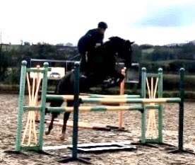 ParkfieldBreed's tweet image. A good day at school for the PFB kids today! Going to suggest they take teacher @FHEventing an Apple 🍎 tomorrow 😂
4yr old P Pumpkin 🎃 
5yr old P Folies Bergere (burger) 🍔 
6yr old Arabella PFB 
Burger doing her best to jump Flora off 😳