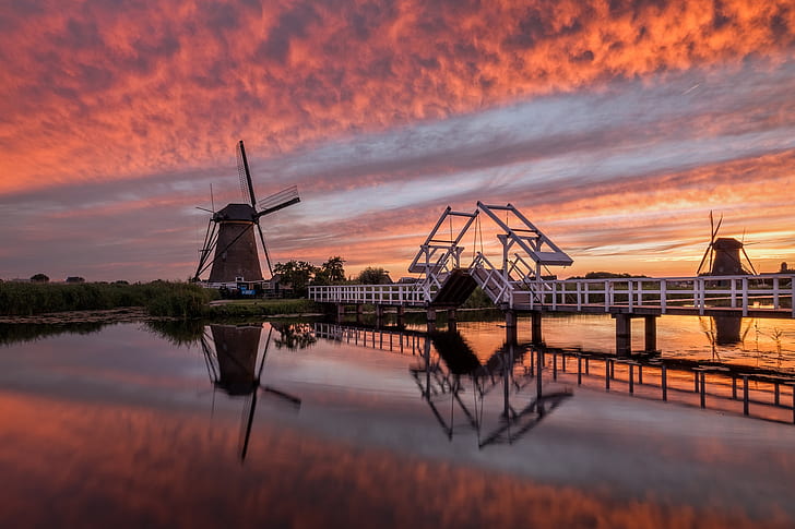 Most Beautiful Pictures tweet media