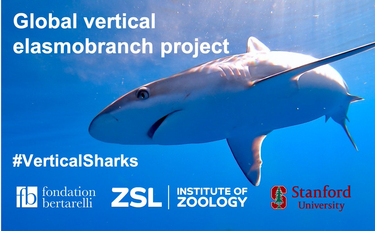 David Curnick tweet media