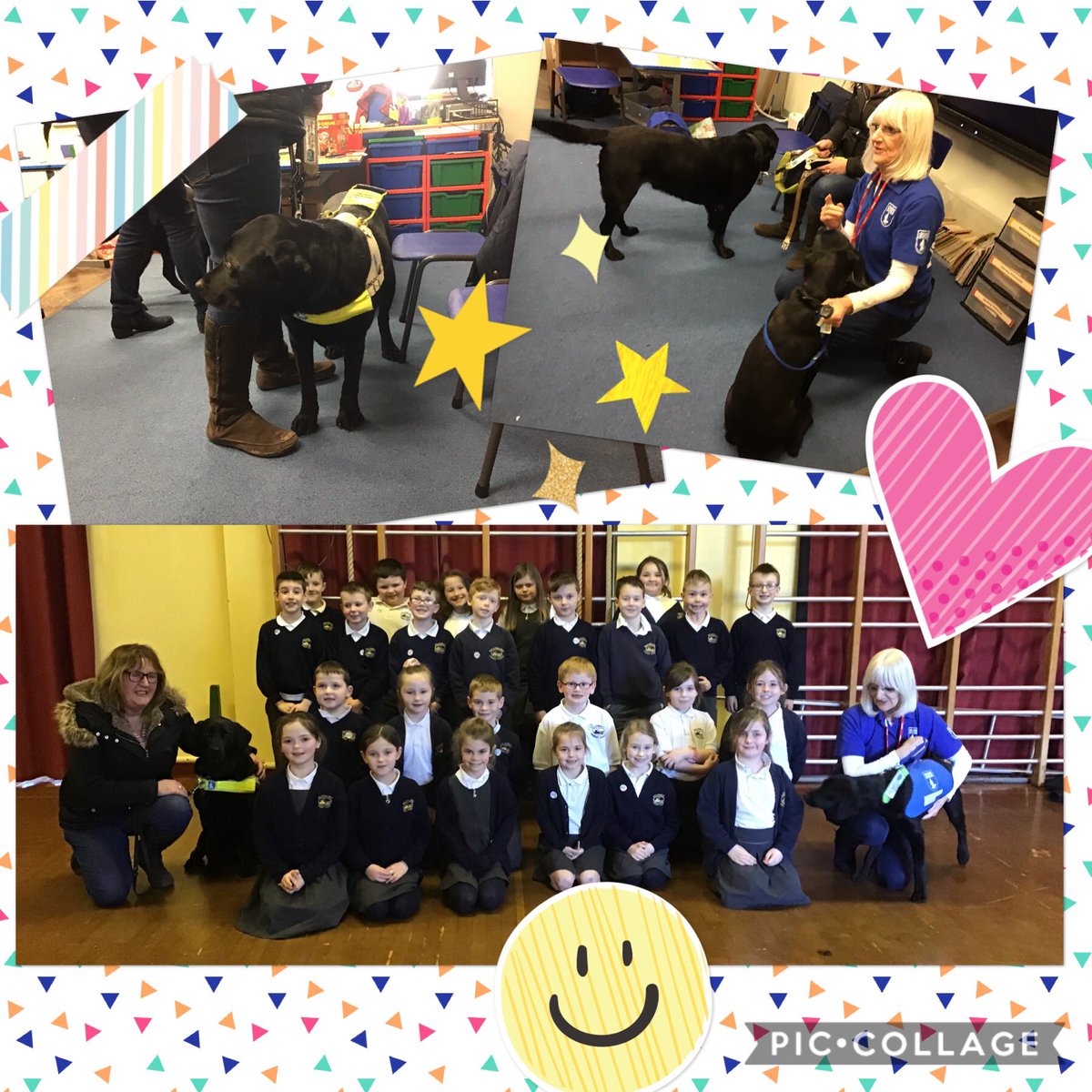 P4__BPS's tweet photo. What a fabulous day in P4! We had some very special visitors today! We absolutely loved meeting Rigsby and Roxy this afternoon 🐶🥰 thank you @guidedogsni @guidedogs @BallywalterPS https://t.co/Qz1n18YHw0
