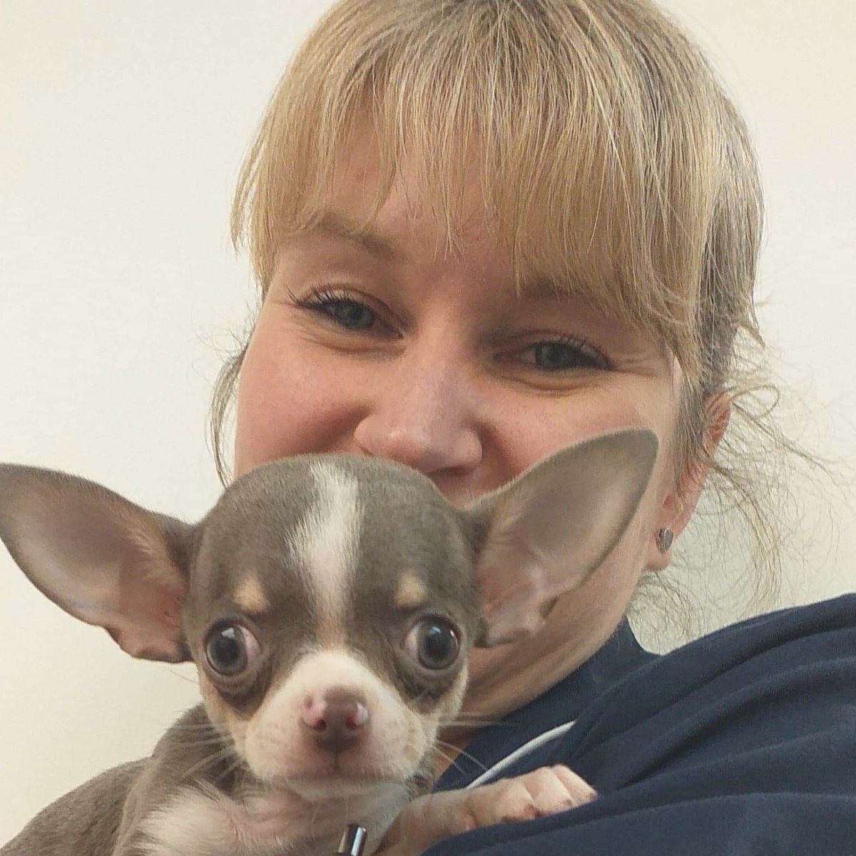 Tiny Teddy after his second vaccination! 

🐶🐾

#vets4pets #barnsleyvets4pets