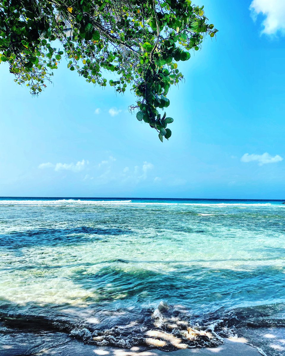 megancrane's tweet photo. Barbados already seems like a dream I had... #winteriscold #takemeback https://t.co/4DWYXYBYpC