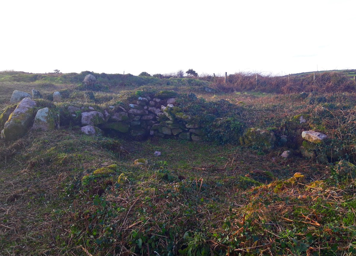 Goldherring, a walled ancient settlement near Boscawen-Ûn stone circle. Occupied, abandoned & reoccupied for over 13 centuries so some remains are c. 3500 years old, others medieval.Carn Euny courtyard houses, Caer Bran fort, Bartinney Castle all nearby. #PrehistoryOfPenwith