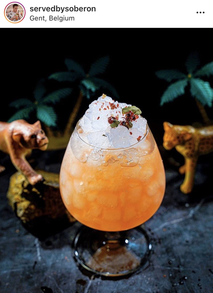 Hidden Curiosities Gin tweet media