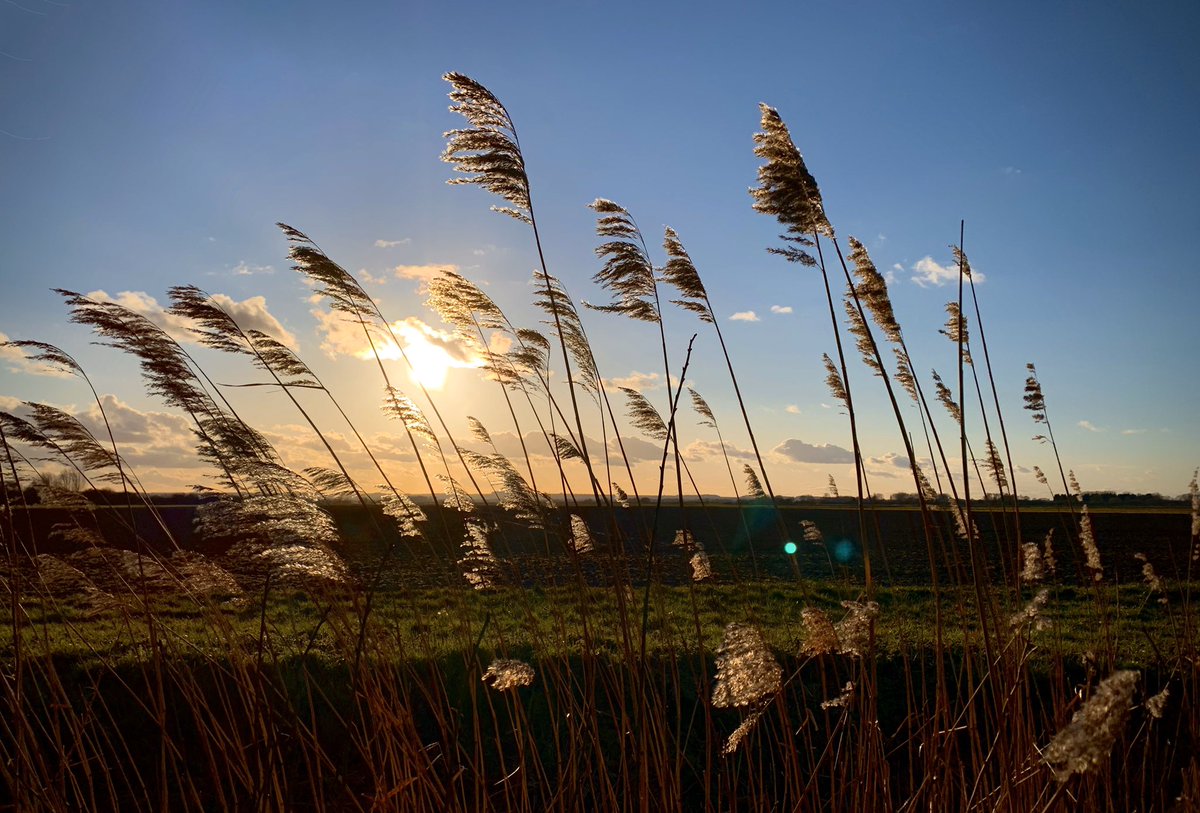 Slightly nicer end to the day than how it started! 
#sunset #lincolnshire #sunset #lincolnshireskies