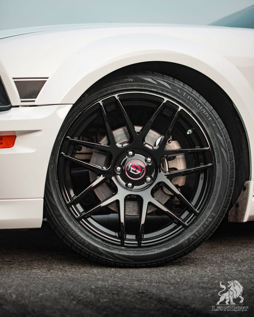 Wild Stang! | #LHFiveTires
📸 - @_frosty_gt

#LionhartTires #LionhartLHFive #Tires #LHTires #LionhartTire #Tire #Ford #Mustang #MustangGT #FordMustang #FordMustangGT #MustangNation #Mustangs #MustangAddicts