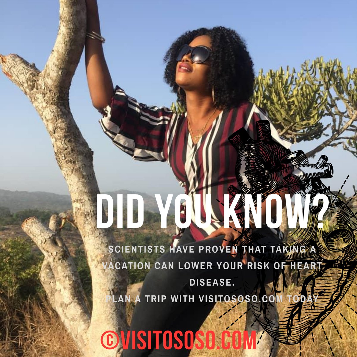 visitososo's tweet photo. #funfact https://t.co/QMLcjyGHOm