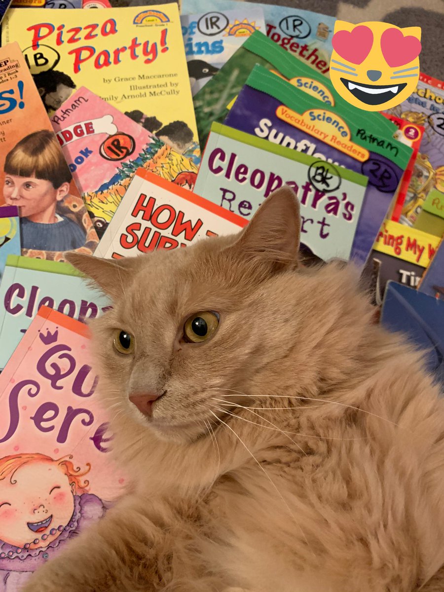Missing my lesson plan buddy and loyal assistant Cheeto #cheeto