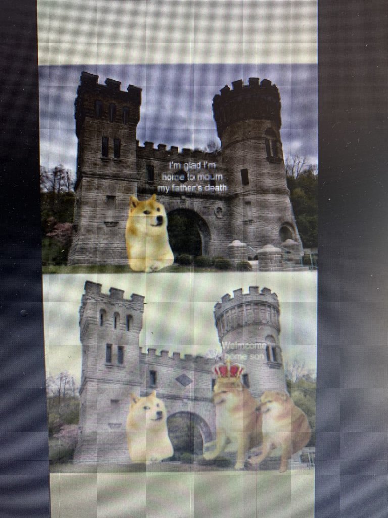 Anne-Rose Loureiro, PhD tweet media