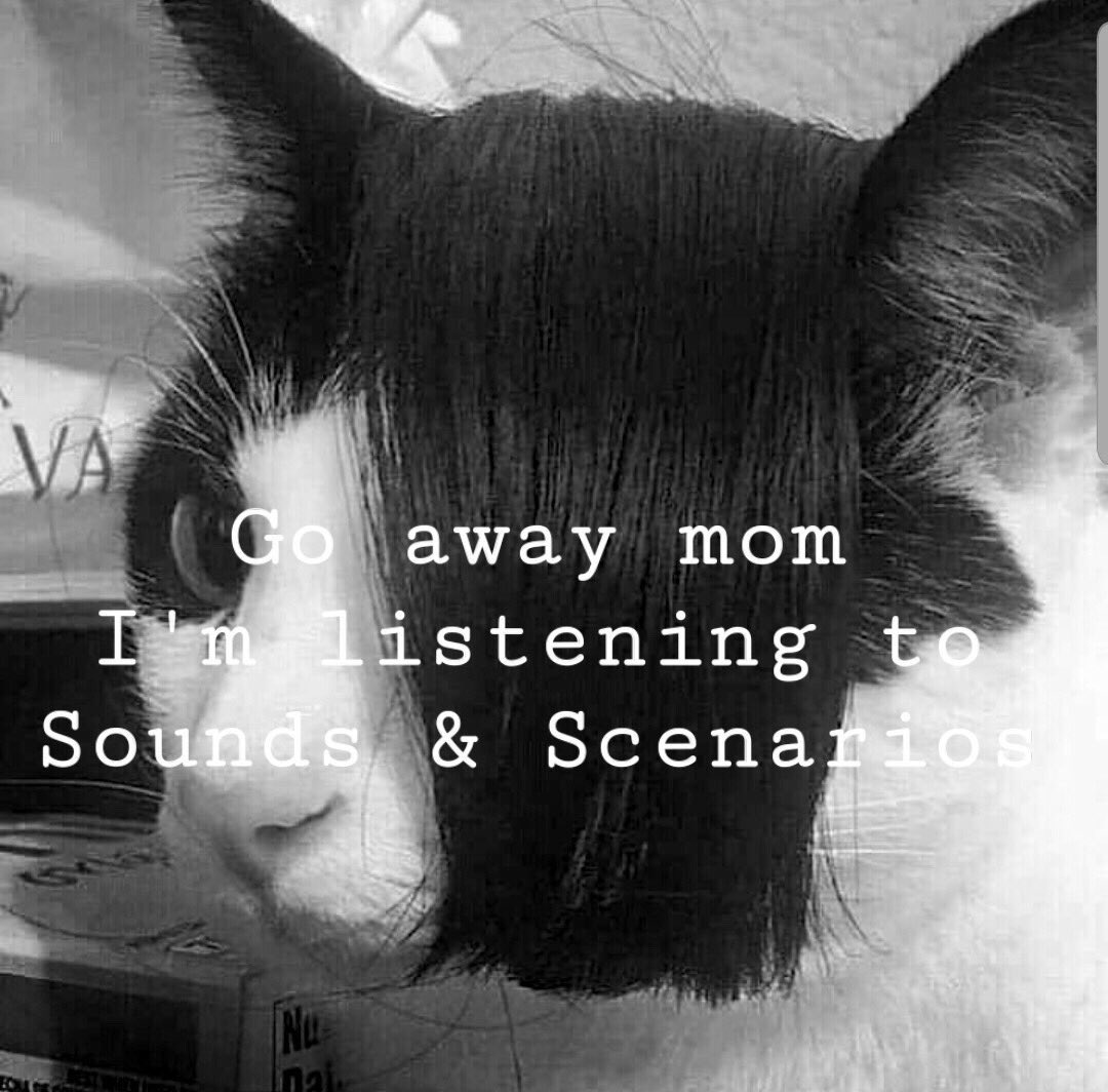 soundsscenarios's tweet image. Shoutout to @noonemustdie for summing up our band in a meme

Hope y’all are ready for more stuff coming your way soon 👀