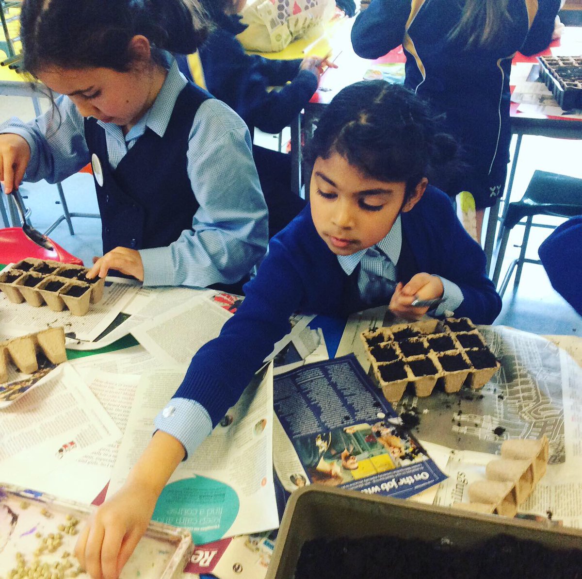 oxfordhighprep's tweet photo. Our environmental junior leaders were #planting #peas this lunchtime  @OhsSchool We can’t wait to taste them! https://t.co/VZYEJ7dHkd