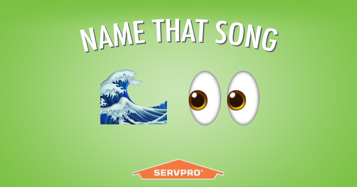 Can you name the artist and song with only emojis as clues? Hint: The artist was just 14 years old when she recorded this hit song.