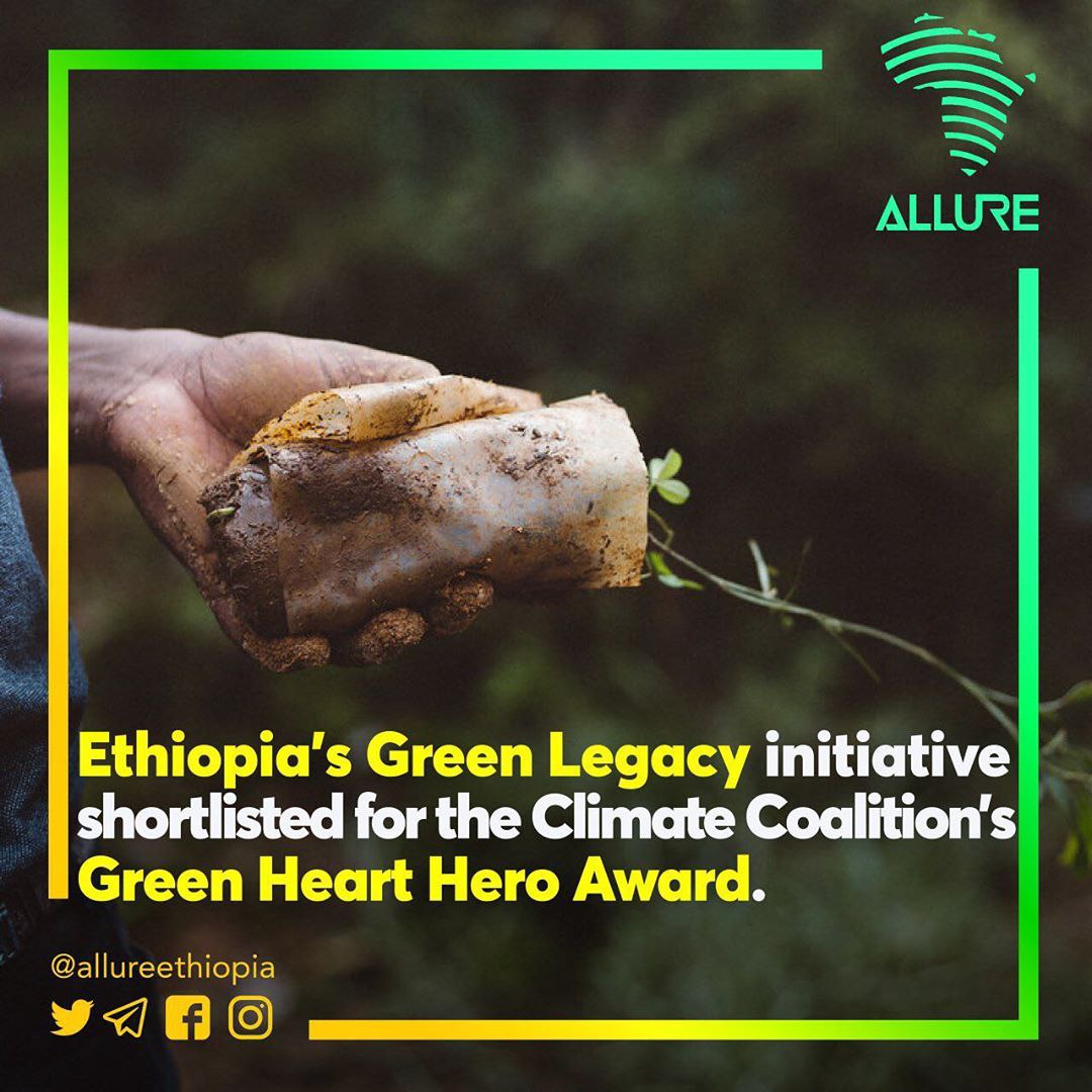 The #GreenLegacy Initiative is a local approach to tackling climate change and environmental degradation. Let's all do our part to protect our planet. #GreenLegacy #Ethiopia @FCDOGovUK @AFP @UKParliament @EU_Commission @eucopresident @vonderleyen