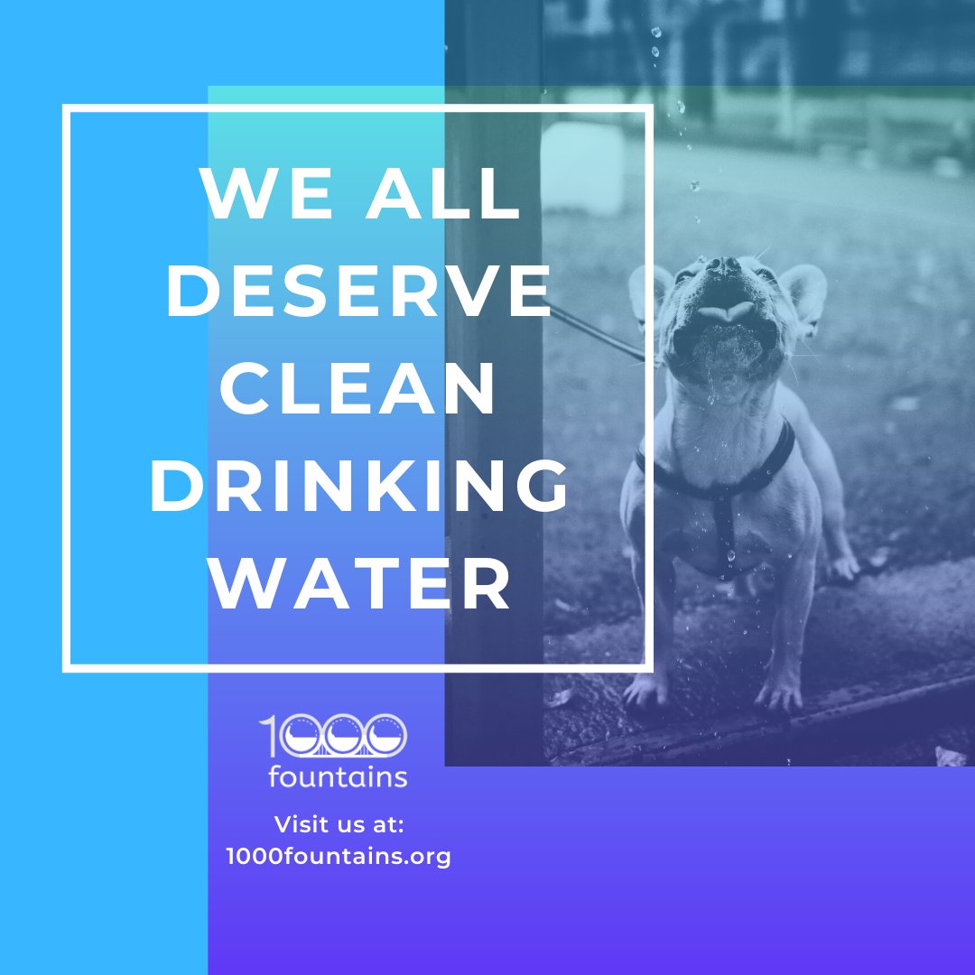 Our goal is to be inclusive of all people and their pets, and show that drinking water from a fountain is clean, safe and much more convenient than buying and carrying a plastic bottle of water. #1000fountains More information buff.ly/38GoK8V