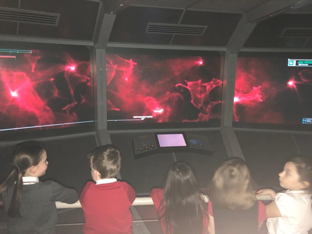 LadybankPS's tweet photo. P2/3 and P4/5 had a fun-filled trip to @ourdynamicearth today. P2/3 explored Space and P4/5 explored the Rainforest. #steam #futurescientists #futurebotanists #ourfuture https://t.co/EMoYEeWltW