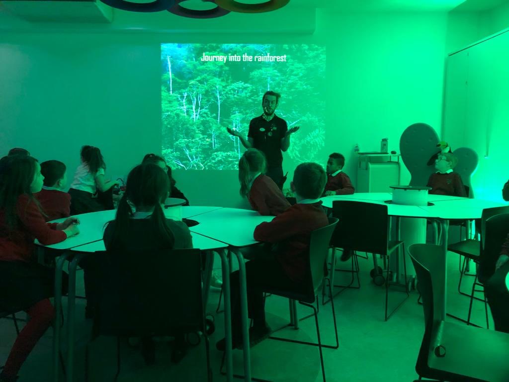 LadybankPS's tweet photo. P2/3 and P4/5 had a fun-filled trip to @ourdynamicearth today. P2/3 explored Space and P4/5 explored the Rainforest. #steam #futurescientists #futurebotanists #ourfuture https://t.co/EMoYEeWltW