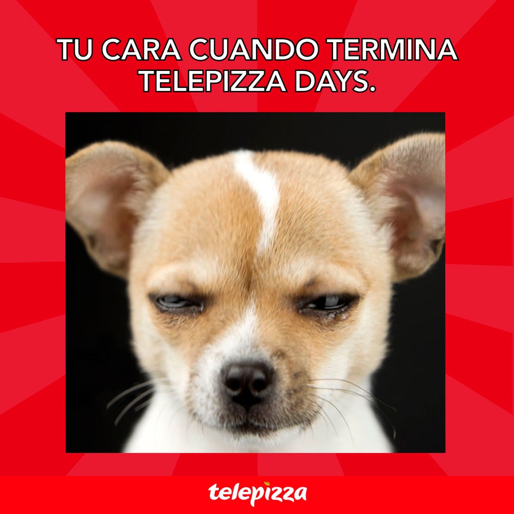 Hoy finalizan nuestros Telepizza Days. 😱😓🍕🍕 Corre y lleva tu pizza familiar a $4.990 y escoge 1 entre 20 ingredientes disponibles para ti.

Ingresa aquí 👉🏻 bit.ly/2U4ZnJe  y pide nuestra promo para recoger o disfrútala en tu local más cercano.