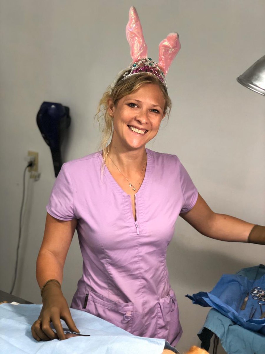 Even birthdays don’t slow down the team at Canines Cats &amp; Critters BVI! This week birthday girl Dr. Sarah and the team carried out surgeries for 3 dogs and 4 cats bringing our total for 2020 to date to 71 (and 1,978 since we started)!! 🐾🐾

#spayandneuter