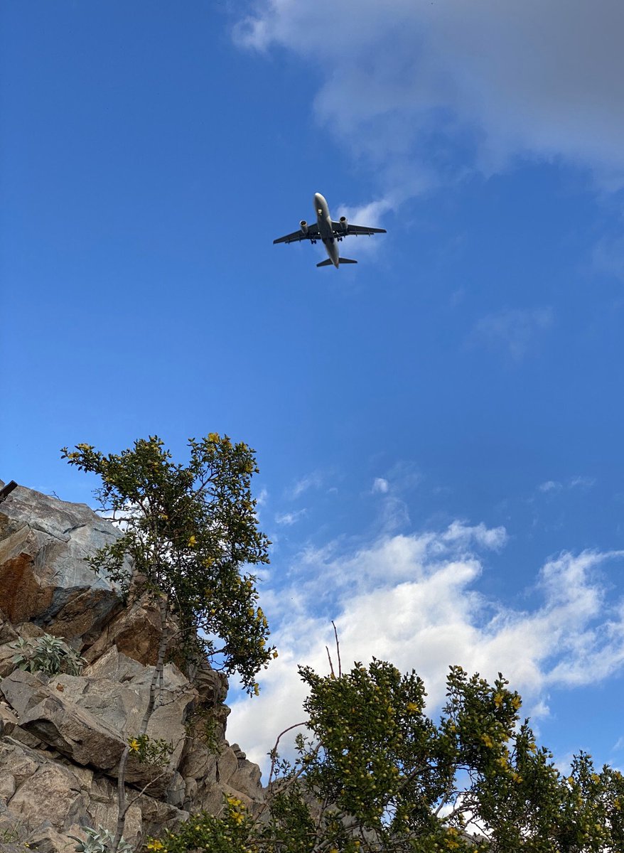 kingchiru15's tweet photo. It’s a Bird 😉
.
.
.
#Bird #aeroplane #ShotOnIphone11Pro #IphonoGraphy #Tempe #TempeButte #AMountain #ASUMountain #haydenbuttepreserve #TempeDowntown #InstaPic https://t.co/3cc1TlYZUr