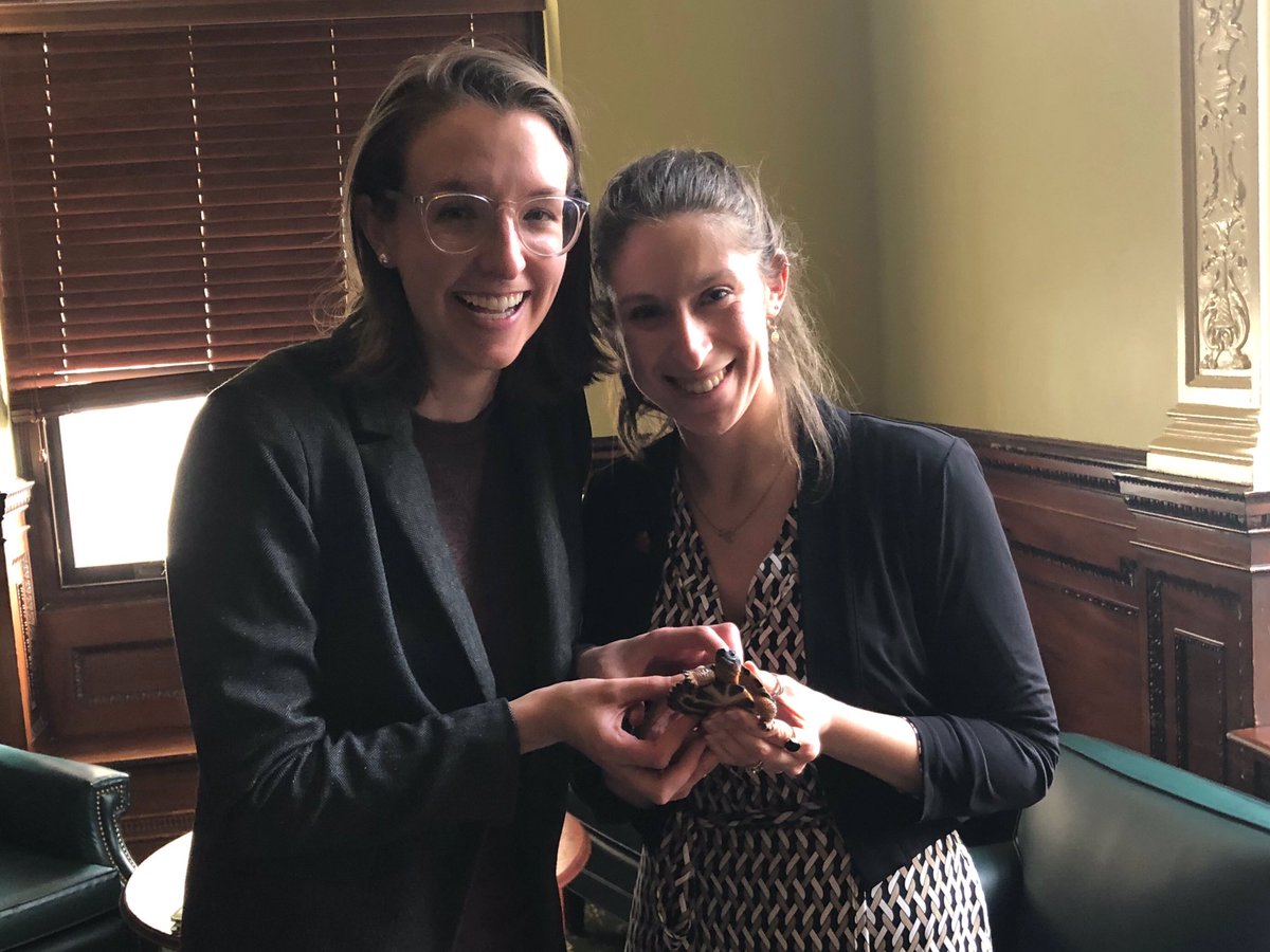 Mass Rivers Alliance tweet media