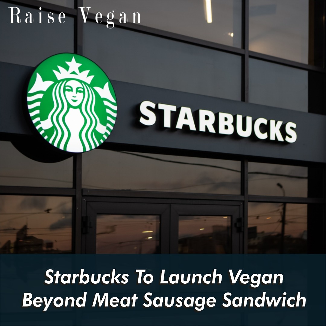 Article by <a href="/RaiseVegan/">Raise Vegan, Inc.</a>

Global coffee chain <a href="/Starbucks/">Starbucks</a> has announced it will add a <a href="/BeyondMeat/">Beyond Meat</a> Sausage Sandwich to the breakfast menu in <a href="/StarbucksCanada/">Starbucks Canada</a>.

#Vegan #VeganFood #PlantBased #BeyondMeat #Starbucks