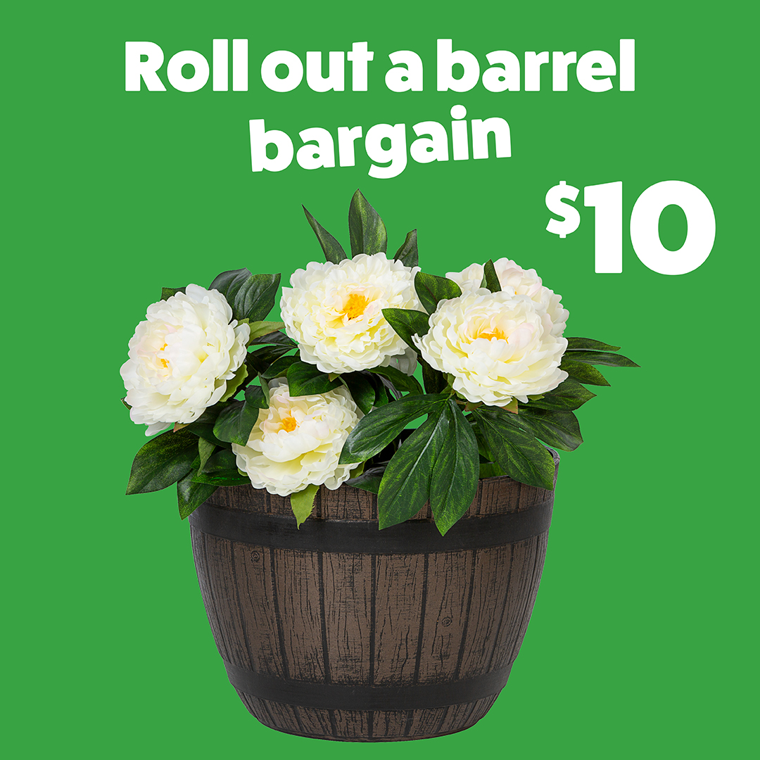The Reject Shop tweet media