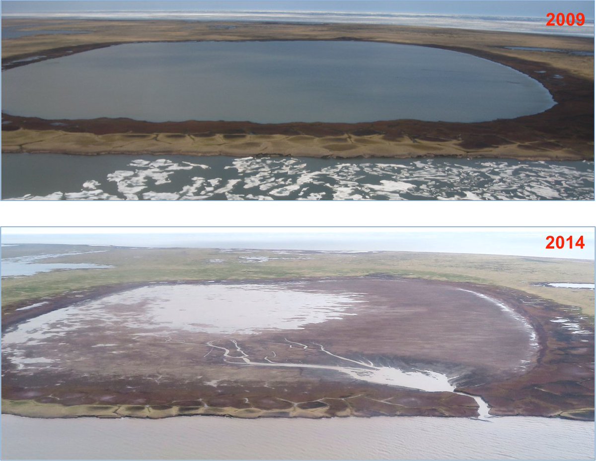 A couple of papers published this week from our @NSF_OPP funded project focused on the role of lakes and lake drainage in shaping permafrost landscapes in northern Alaska

onlinelibrary.wiley.com/doi/10.1002/pp…

esajournals.onlinelibrary.wiley.com/doi/full/10.10…