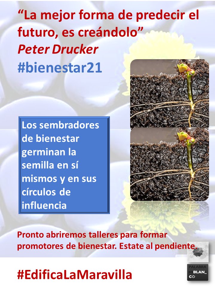 Ymedics's tweet photo. HOY declaramos inaugurado el programa para la expansión del bienestar a través de la formación de SEMBRADORES DE BIENESTAR. Muy pronto información al respecto. Estate al pendiente #bienestar21 #norma035 #EdificaLaMaravilla https://t.co/W3uWG3z5On