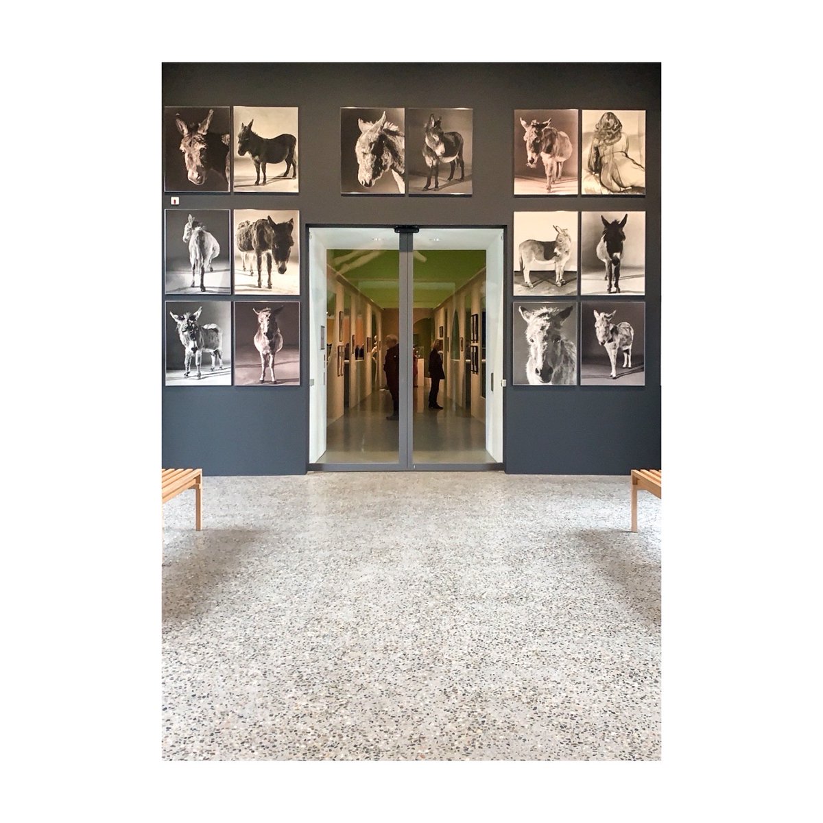 NU TE ZIEN: in de tentoonstelling De tranen van Eros in het Centraal Museum (t/m 24 mei) is ook werk te zien van de hedendaagse kunstenaar Paul Kooiker (vertegenwoordigd door @tegenboschvanvreden). Bekijk meer werk van Kooiker op: galleryviewer.com/nl/galerie/72/….

📷: Jen Maasdam-Blok