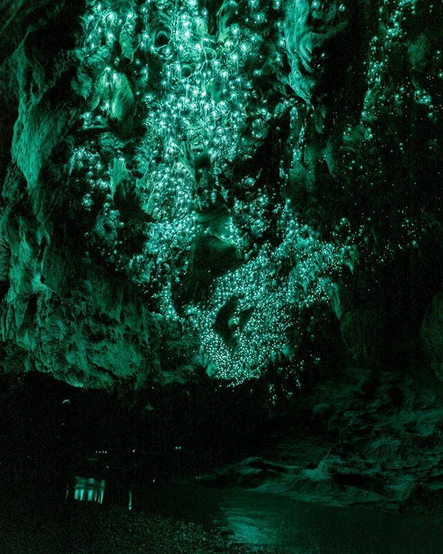 I completely lost track of time. For several hours I stood in this cave right in the middle of the underground stream adjusting my shots. Above me thousands of glowing worms where creating a Milky Way. Such a magical experience!!! 💫🐛💦