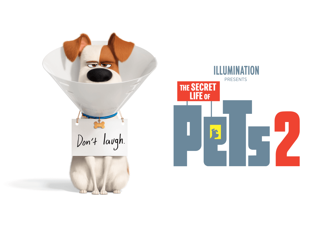GODFIRSTCC's tweet photo. Our next sponsored film, The Secret Life of Pets 2, is on at the Regent Centre on Saturday 21st March. This is a great opportunity to invite friends and family to.

To book in visit https://t.co/x5MOEOu5bq https://t.co/VwuR0XGLrU