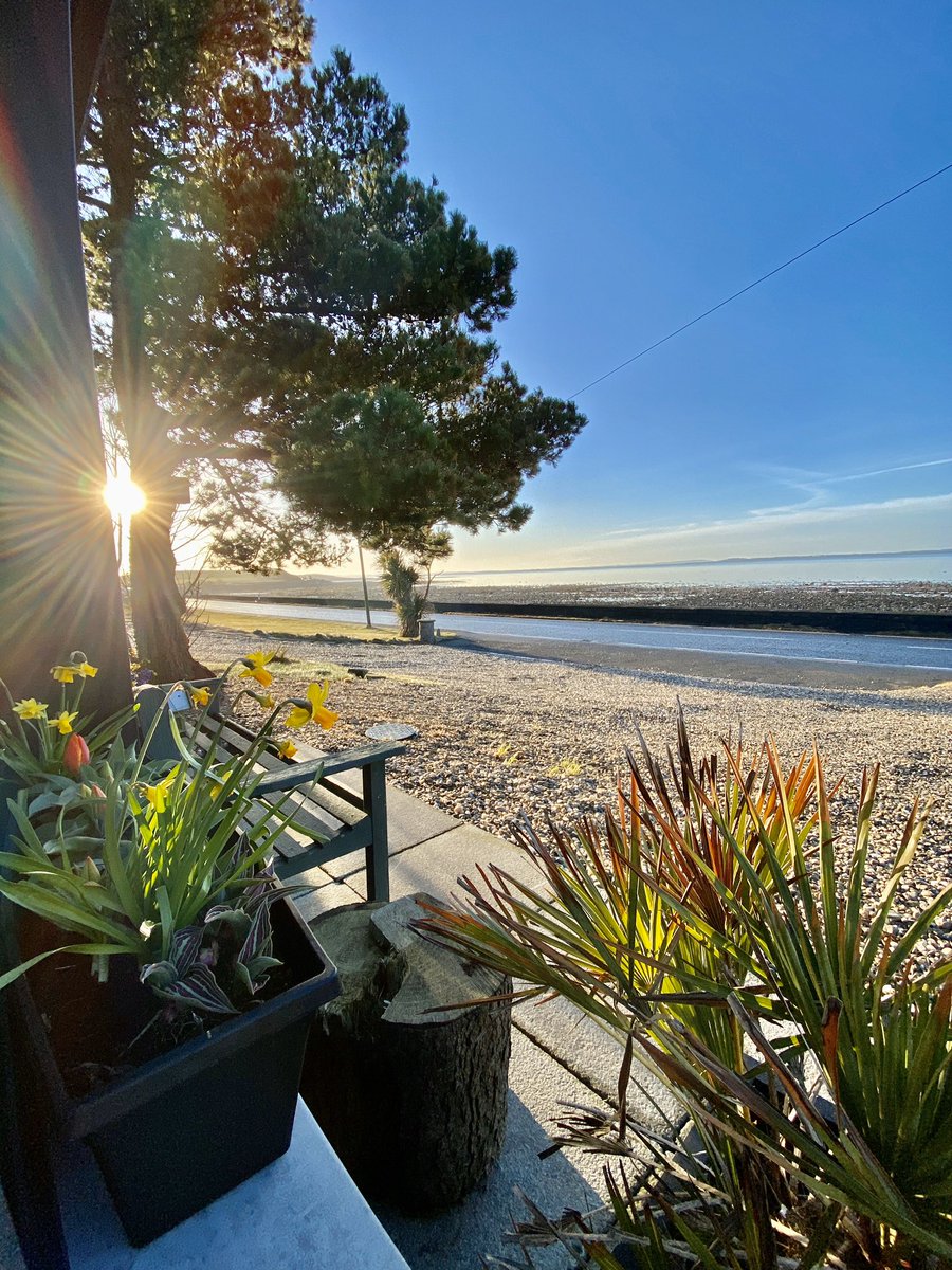 Is that spring in the air? Happy Friday  🥳 #Airbnb <a href="/Airbnb_uk/">Airbnb UK</a> <a href="/DiscoverNI/">Northern Ireland</a> #strangfordlough #DiscoverNI