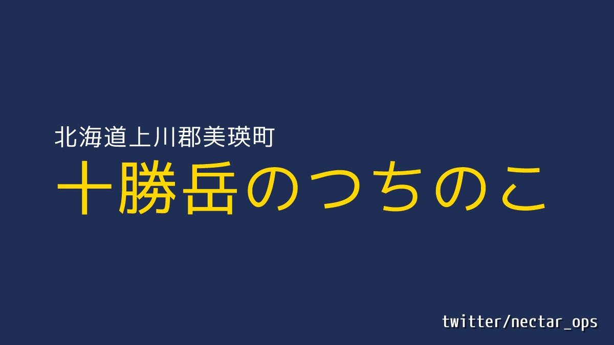 nectar_ops's tweet photo. 🦖十勝岳のつちのこ🦕
https://t.co/Xiul26nQyy

🐏場所
北海道上川郡美瑛町

🌏Gマップ
https://t.co/jT2jRPDLph

🧭Sビュー
https://t.co/6f3gbKKayf

🗾経緯度
43°25'44.1"N 142°40'51.5"E

#つちのこ #ツチノコ #tutinoko #十勝岳 #北海道 #上川郡 #美瑛町 #UMA #未確認生物 #未確認生命体 #怪異 https://t.co/ndLQSZ3HaG