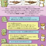 main image of this resource