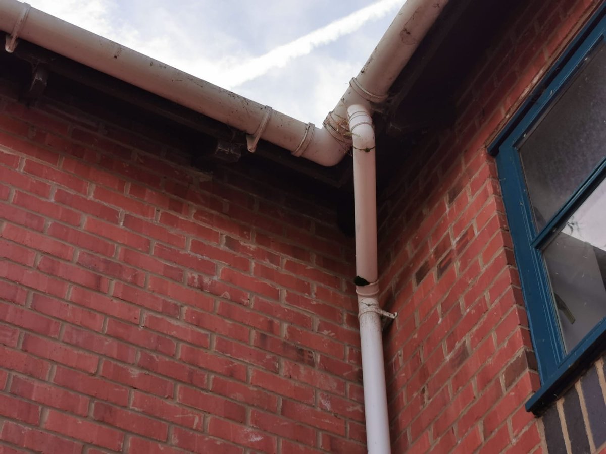 Would you look at how clogged up that gutter was 👀

With the weather being as it has been lately, your gutter is more likely to collect leaves, twigs and other debris.

A massive well done to the Alfresco team for sorting this one out 👏
