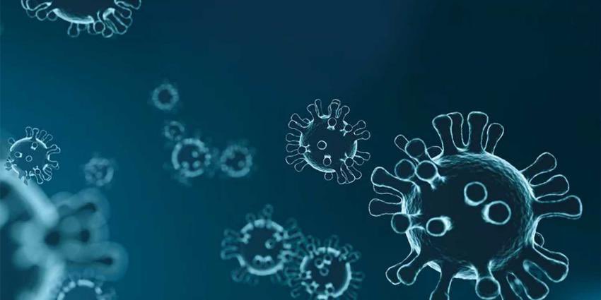 Update Corona virus en FysioTotaal.
We zijn gewoon geopend en u bent van harte welkom. 
Echter vragen wij u de adviezen van het RIVM (rijksinstituut voor volksgezondheid en milieu) op te volgen.  Wij hebben op onze locaties extra hygiëne maatregelen getroffen.