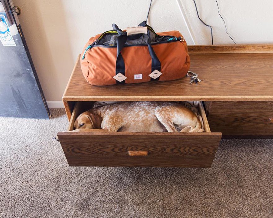 presentcorrect's tweet photo. Happy Friday!
https://t.co/zaYLcH86Fn

#WorldSleepDay https://t.co/VASGQIKN7A