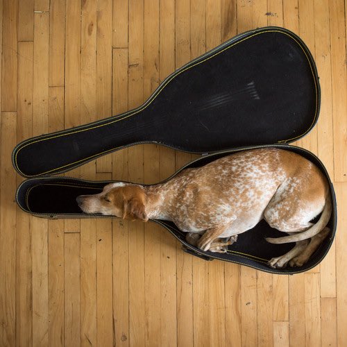 presentcorrect's tweet photo. Happy Friday!
https://t.co/zaYLcH86Fn

#WorldSleepDay https://t.co/VASGQIKN7A