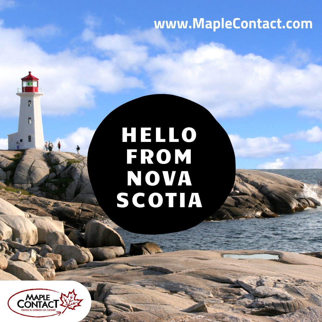 MapleContact tweet picture