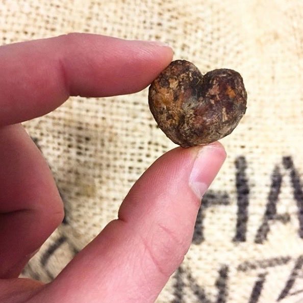 We’re delighted to be serving @officialbullion hot #chocolate. Founded by Max Scotford Bullion are a bean to bar chocolatier based in Sheffield.

The #cafe is serving their Ecuador, Santo Domingo drinking chocolate. Get yourself down for a try, you won’t regret it 😋