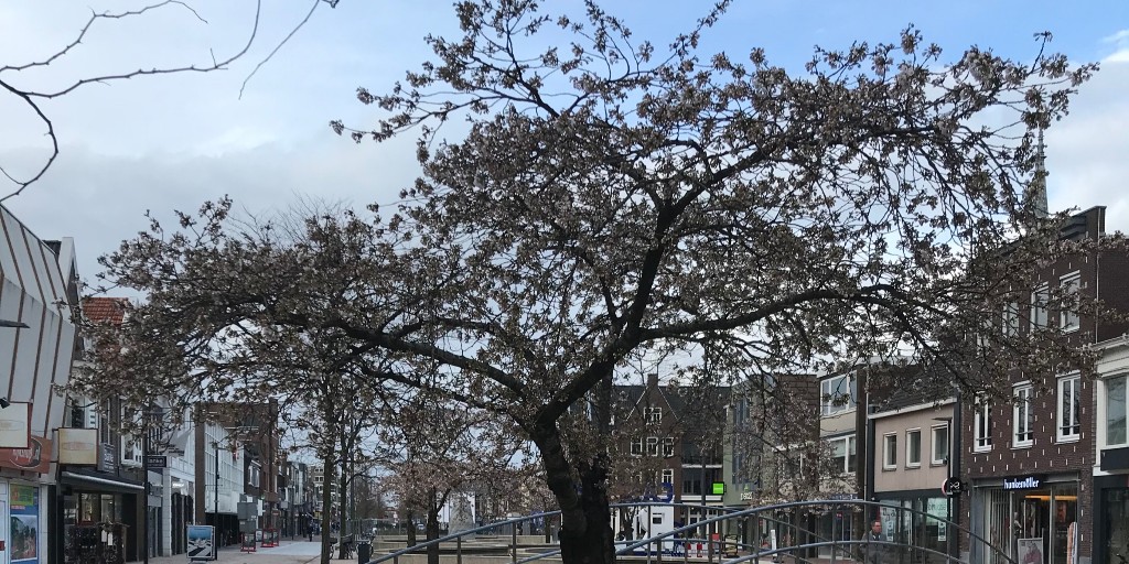 Herinrichting binnenstad #Hoogeveen, fase 2, dag 69: Deze week is gewerkt aan de betonfundering voor de nieuwe oversteek. De lichtmasten zijn getest en afgesteld. De bestrating en de beplanting zijn afgerond: laat het voorjaar maar komen!
